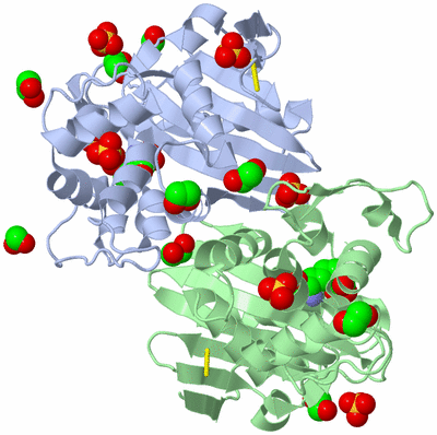 Image Asym./Biol. Unit