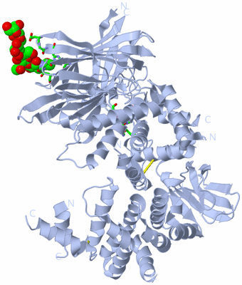 Image Biol. Unit 1 - sites