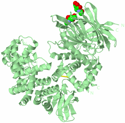 Image Biological Unit 2