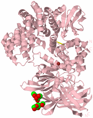 Image Biological Unit 3