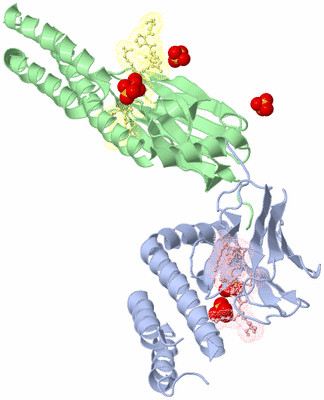 Image Biological Unit 3