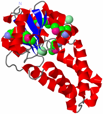 Image Asym./Biol. Unit