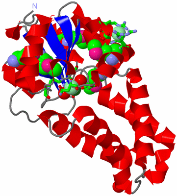 Image Asym./Biol. Unit - sites