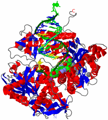 Image Asym./Biol. Unit