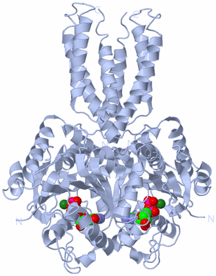 Image Biological Unit 1