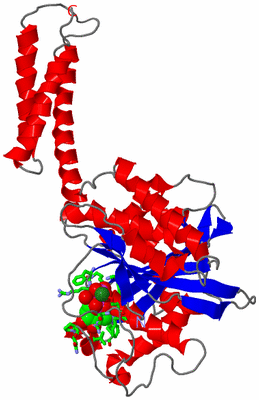 Image Asym. Unit - sites