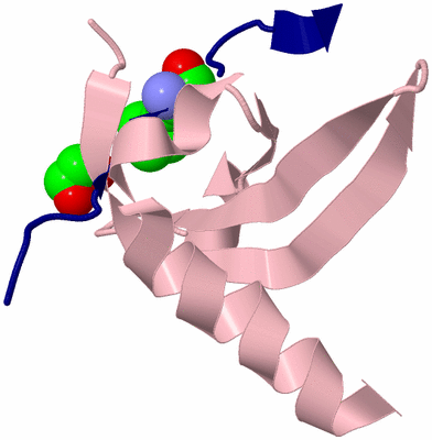 Image Biological Unit 3