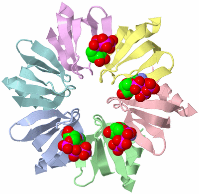 Image Asym./Biol. Unit