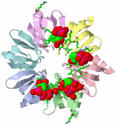 Image Asym./Biol. Unit - sites