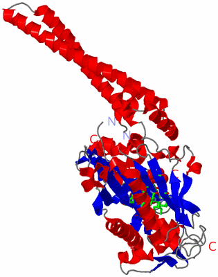 Image Asym. Unit - sites