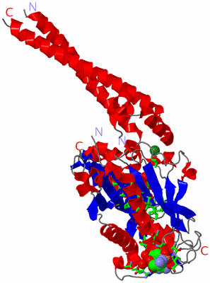 Image Asym. Unit - sites