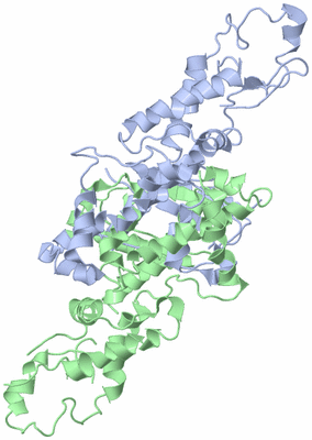 Image Asym./Biol. Unit