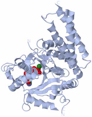 Image Biological Unit 1