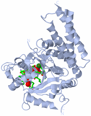 Image Biol. Unit 1 - sites