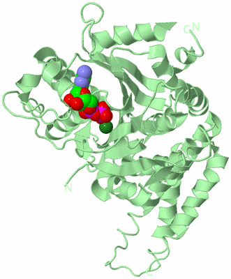 Image Biological Unit 2