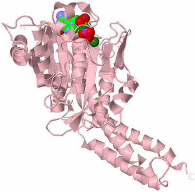 Image Biological Unit 3