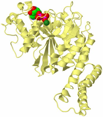 Image Biological Unit 4