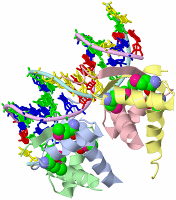 Image Asym./Biol. Unit