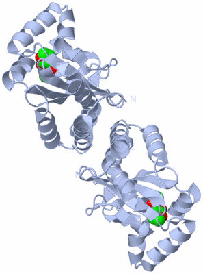 Image Biological Unit 1