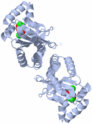 Image Biological Unit 1