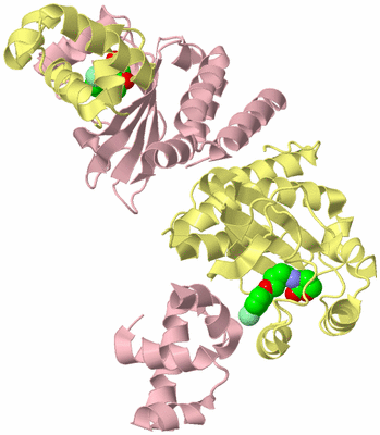 Image Biological Unit 2