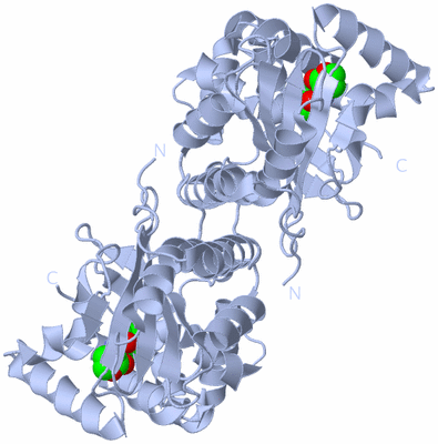 Image Biological Unit 1