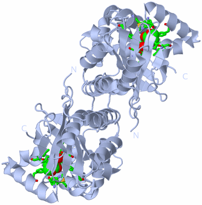 Image Biol. Unit 1 - sites