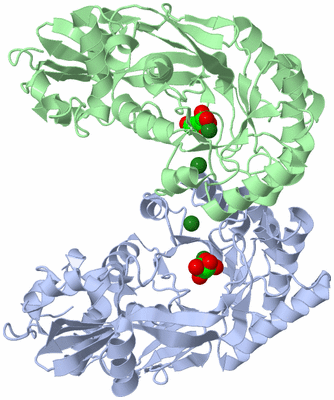 Image Biological Unit 1