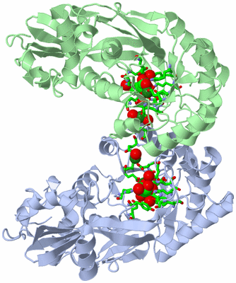 Image Biol. Unit 1 - sites