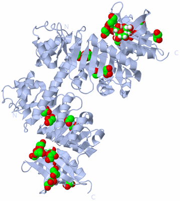 Image Biological Unit 1