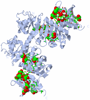 Image Biol. Unit 1 - sites