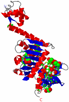 Image Asym. Unit - sites