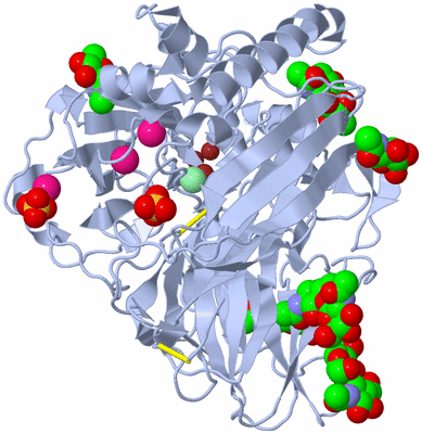 Image Biological Unit 1