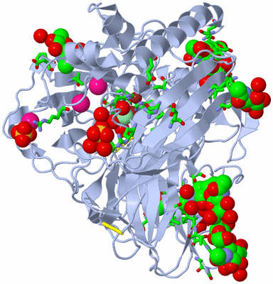 Image Biol. Unit 1 - sites