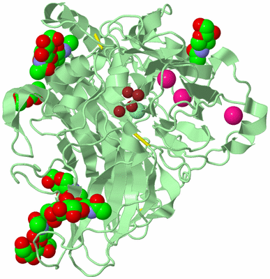 Image Biological Unit 2