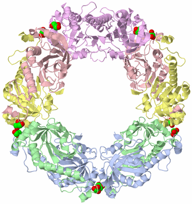 Image Biological Unit 1