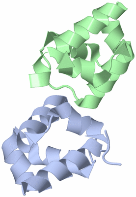 Image Asymmetric Unit