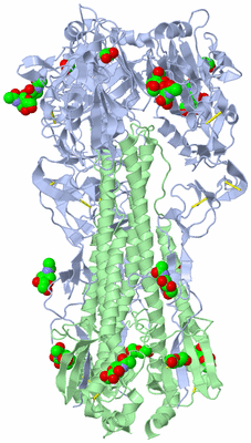 Image Biological Unit 1