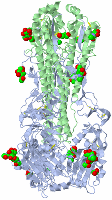 Image Biological Unit 1