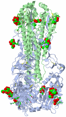 Image Biol. Unit 1 - sites