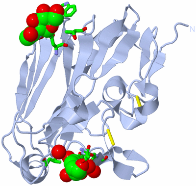 Image Biol. Unit 1 - sites