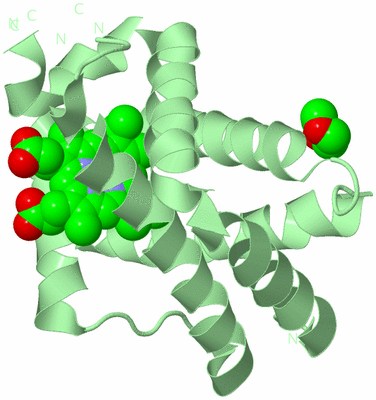 Image Biological Unit 2