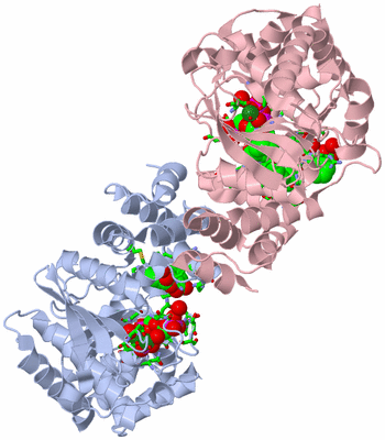 Image Biol. Unit 1 - sites