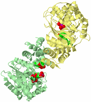 Image Biological Unit 2