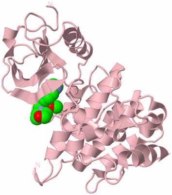 Image Biological Unit 3