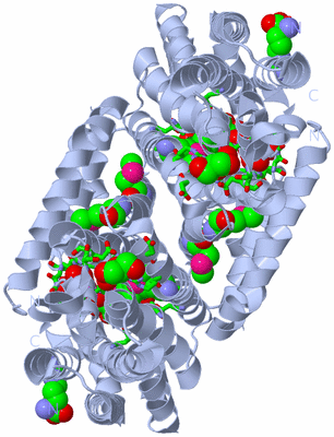 Image Biol. Unit 1 - sites