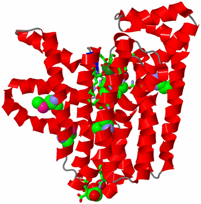 Image Asym. Unit - sites