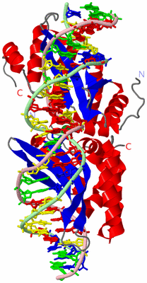 Image Asym./Biol. Unit