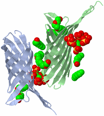 Image Asymmetric Unit
