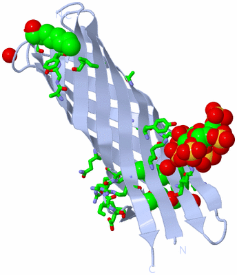 Image Biol. Unit 1 - sites